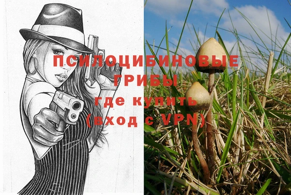 ПСИЛОЦИБИНОВЫЕ ГРИБЫ Арсеньев
