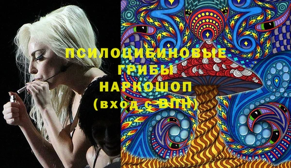 ПСИЛОЦИБИНОВЫЕ ГРИБЫ Арсеньев