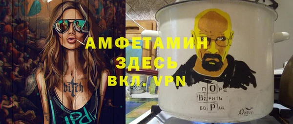 ПСИЛОЦИБИНОВЫЕ ГРИБЫ Арсеньев
