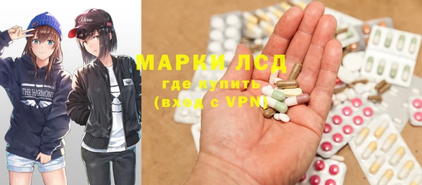 ПСИЛОЦИБИНОВЫЕ ГРИБЫ Арсеньев