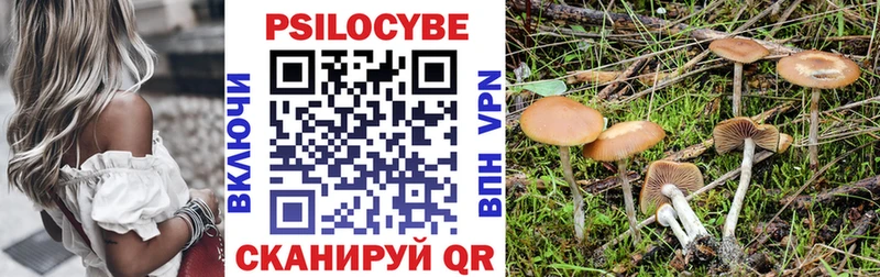 Псилоцибиновые грибы Psilocybine cubensis  Фокино 